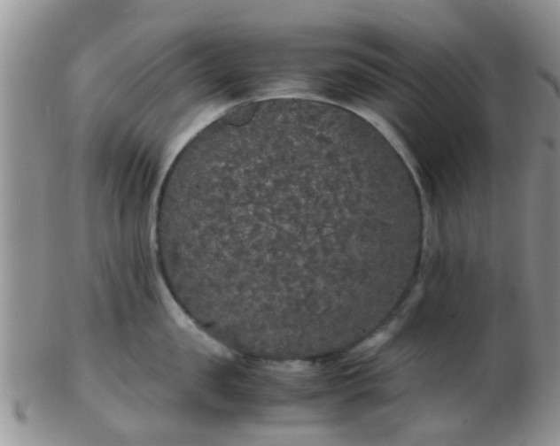 X0000103310957200809122048