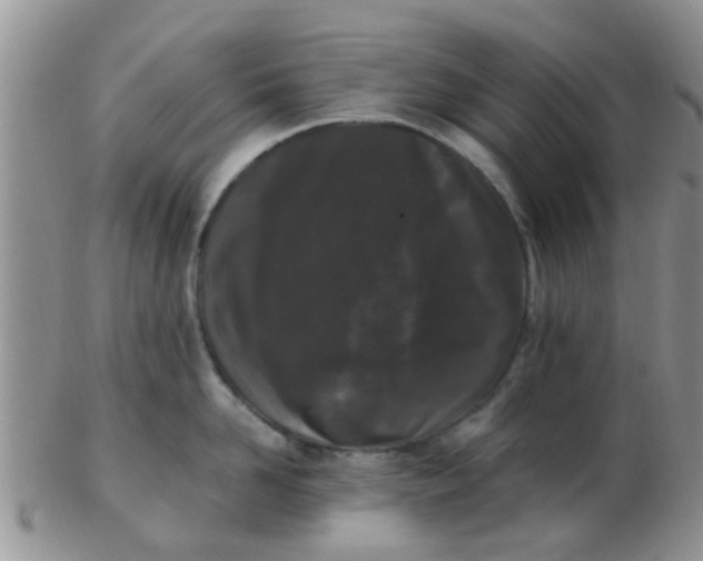 X0000103310958200809122048