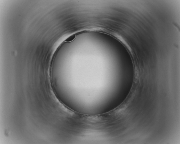 X0000103310959200809122048