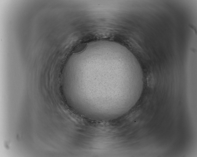X0000103310961200809122048