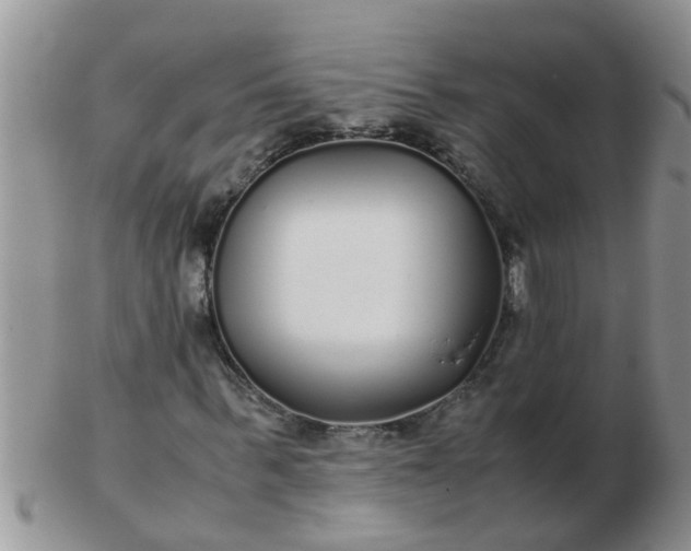 X0000103310963200809122048