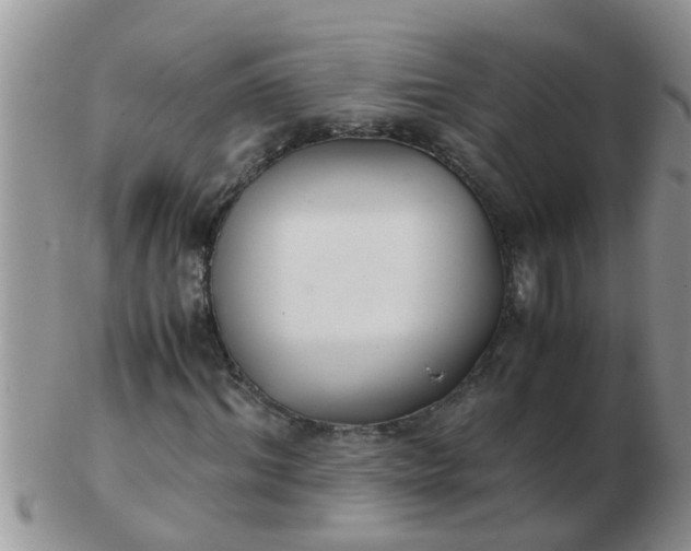 X0000103310964200809122048
