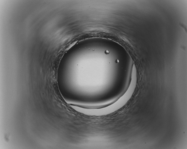 X0000103310965200809122048