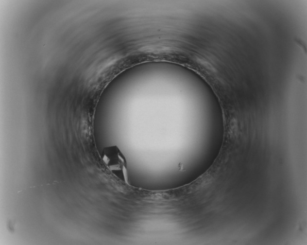 X0000103310966200809122048