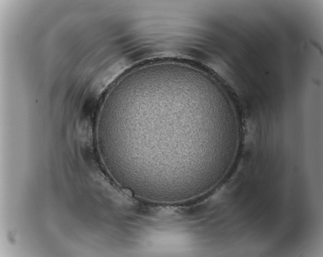 X0000103310969200809122048