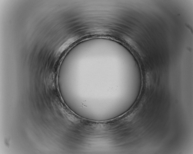 X0000103310970200809122048