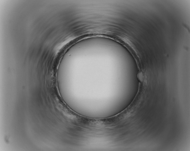 X0000103310971200809122048