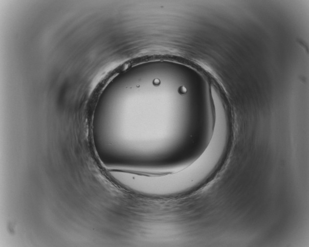 X0000103310973200809122048
