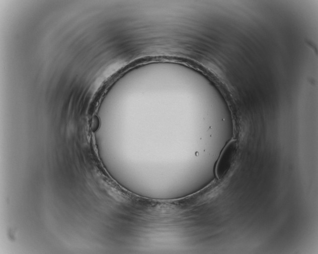 X0000103310974200809122048