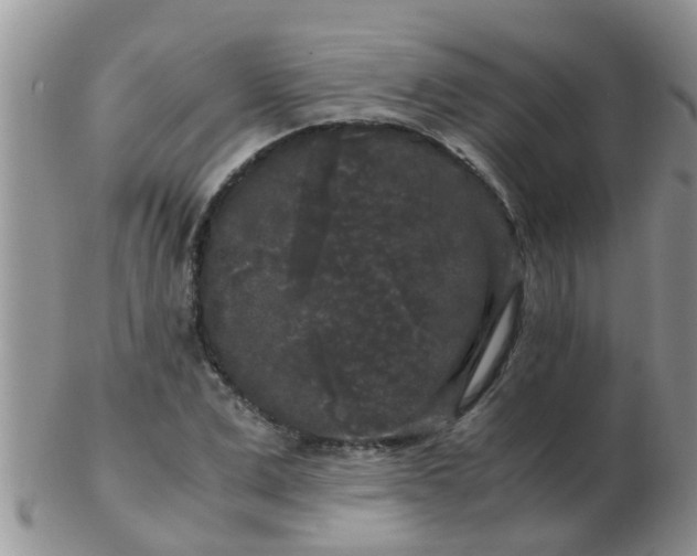 X0000103310975200809122048