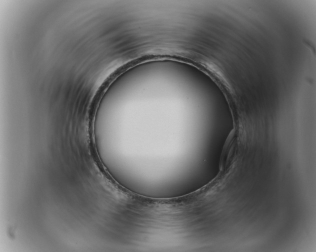 X0000103310976200809122048