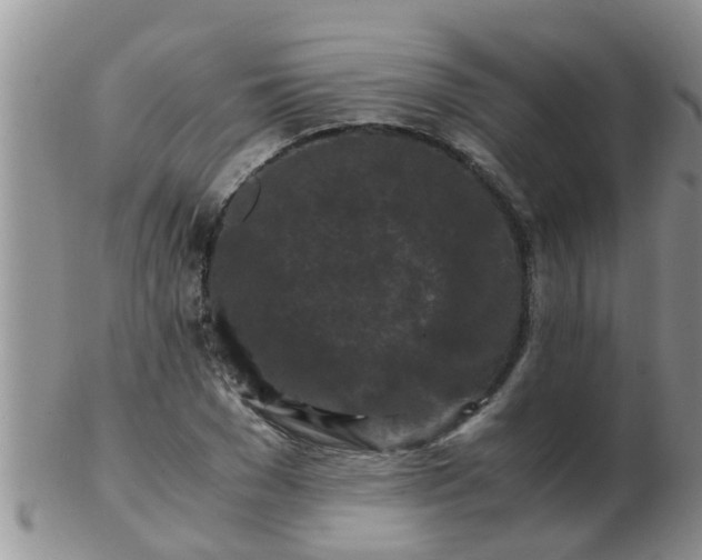 X0000103310977200809122048
