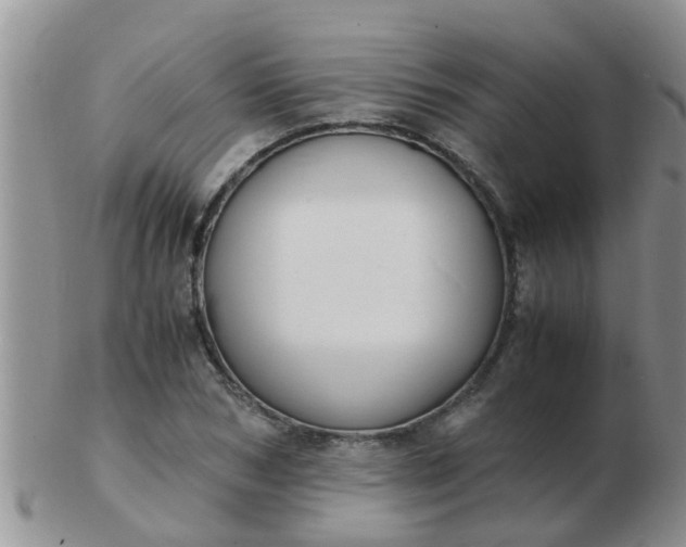 X0000103310978200809122048