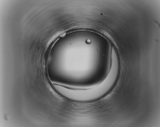 X0000103310981200809122048