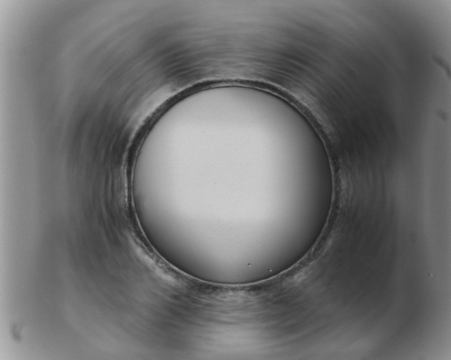 X0000103310982200809122048
