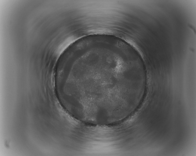 X0000103310983200809122048