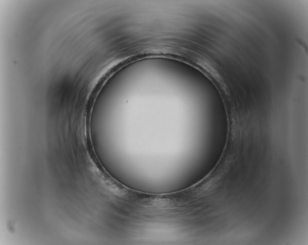 X0000103310984200809122048