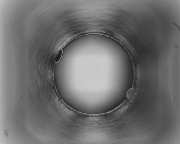 X0000103310985200809122048