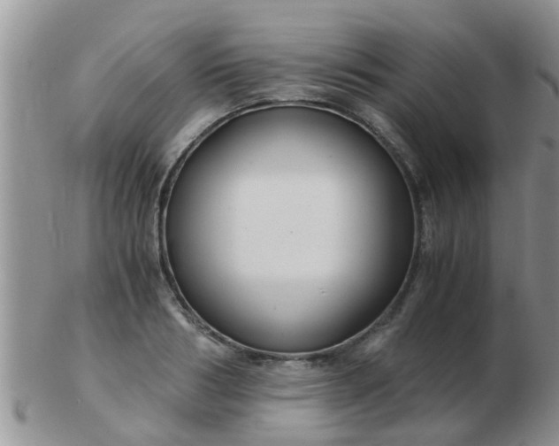X0000103310986200809122047