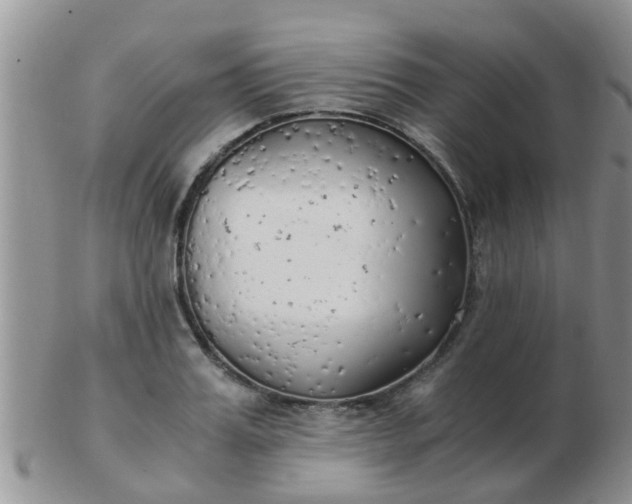 X0000103310987200809122047
