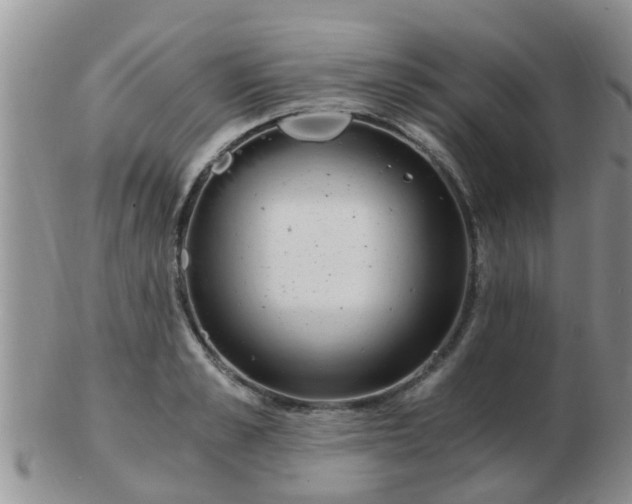 X0000103310989200809122047