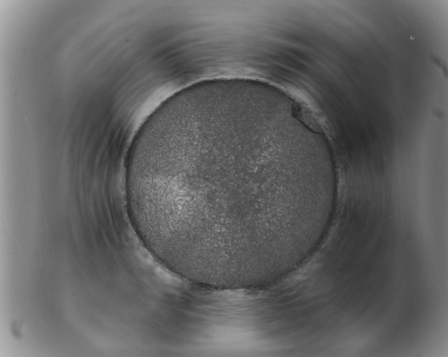 X0000103310990200809122047