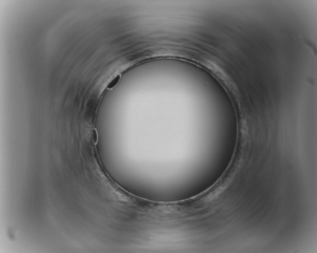 X0000103310993200809122047