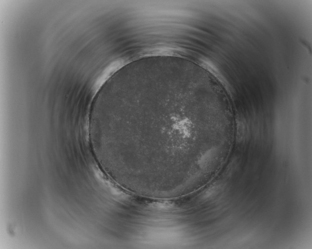 X0000103310994200809122047