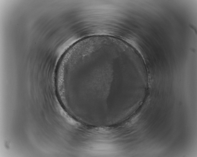 X0000103310995200809122047