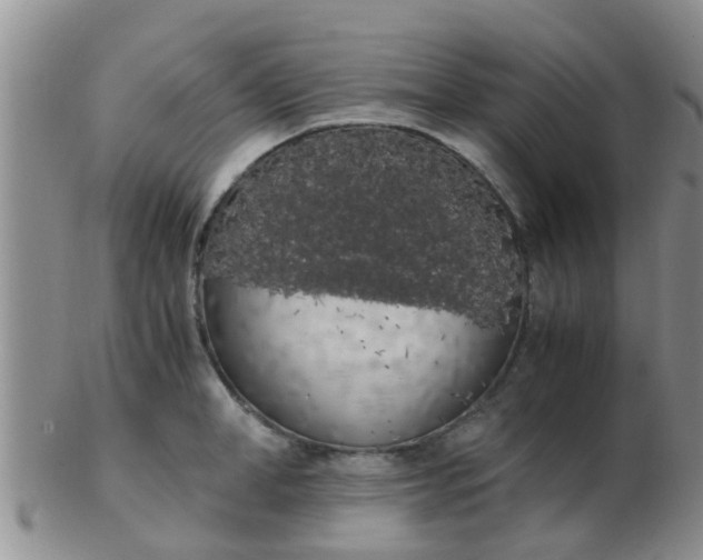 X0000103310998200809122047