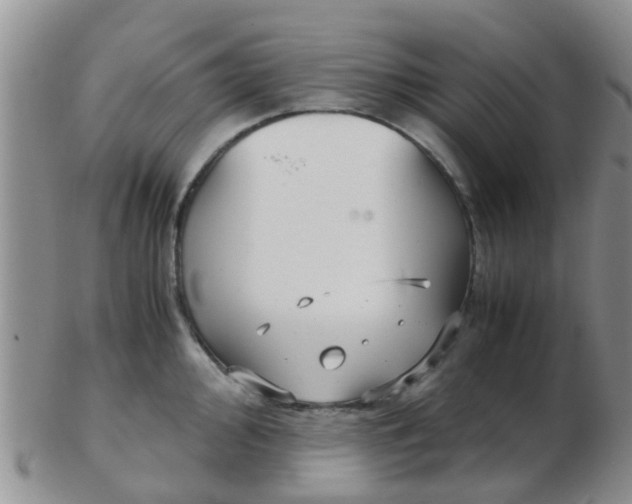 X0000103311000200809122047
