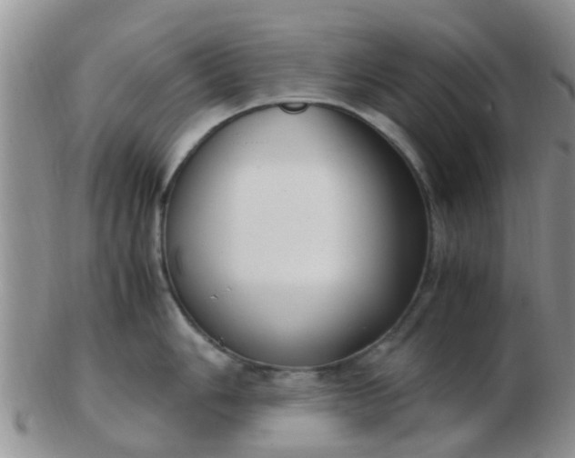 X0000103311006200809122047