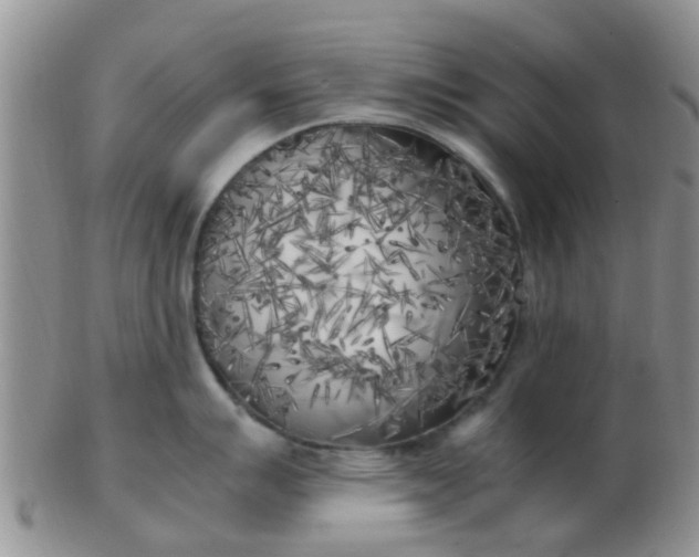 X0000103311007200809122047