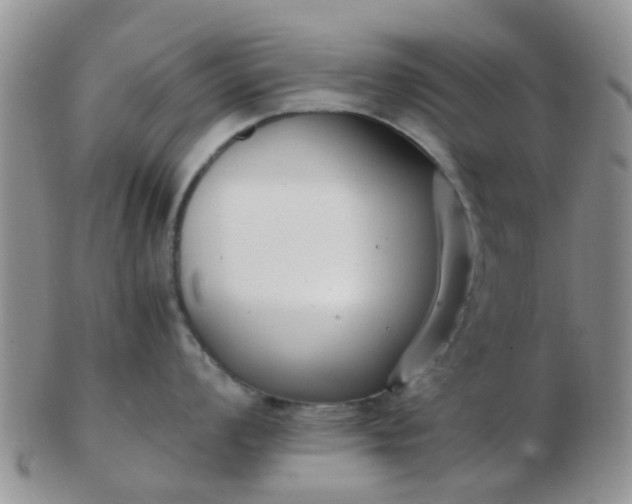 X0000103311008200809122047