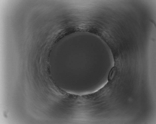 X0000103311009200809122047