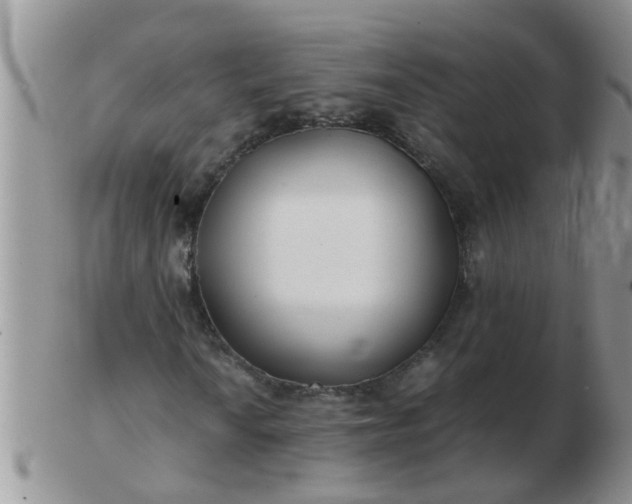 X0000103311010200809122047