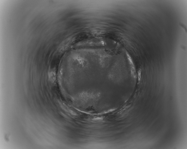 X0000103311011200809122047