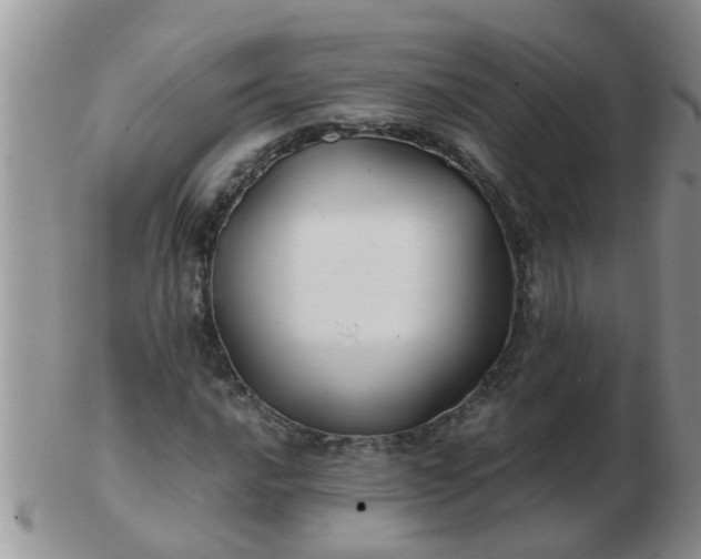 X0000103311016200809122047