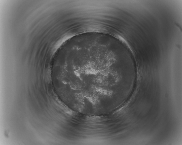 X0000103311019200809122047