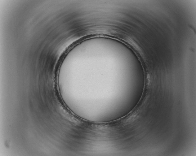 X0000103311020200809122047
