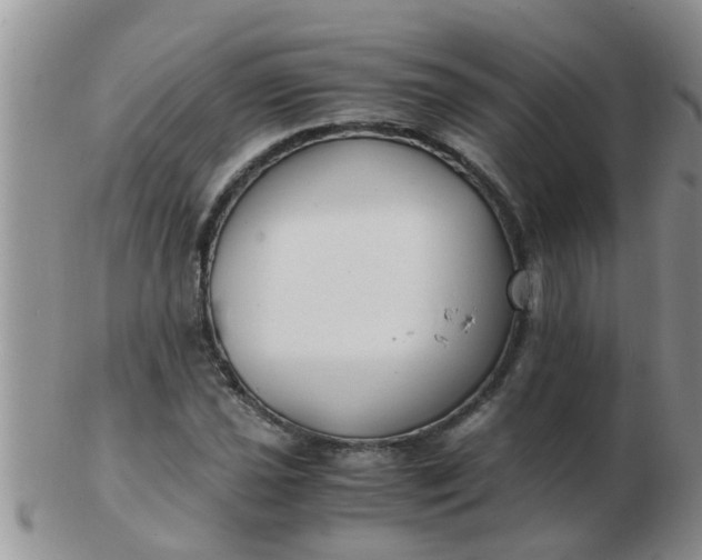 X0000103311021200809122047