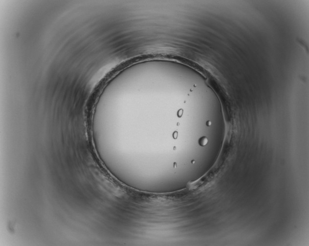 X0000103311022200809122047