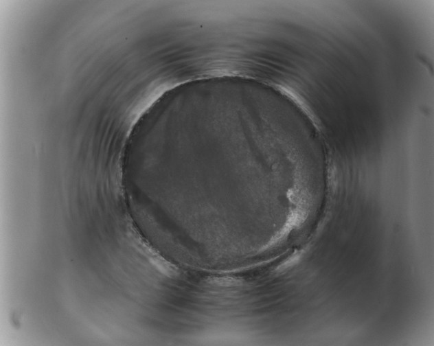 X0000103311023200809122047