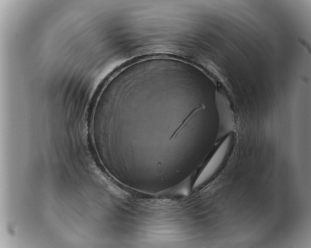 X0000103311024200809122047