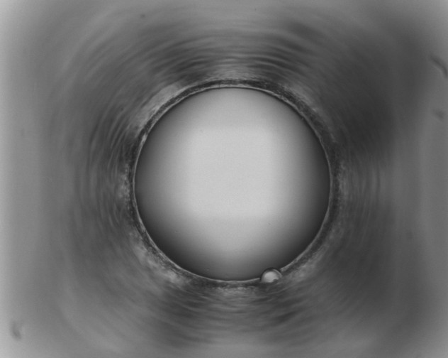 X0000103311025200809122047