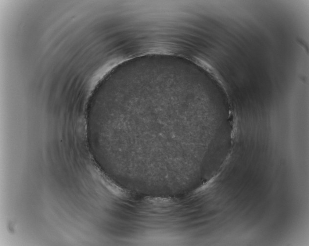 X0000103311027200809122047