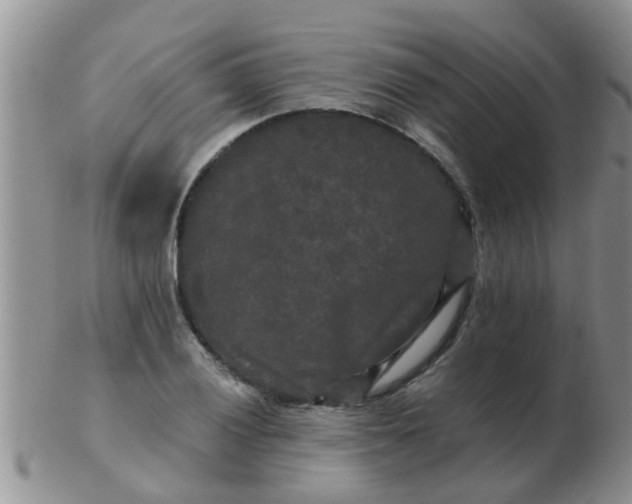 X0000103311028200809122047