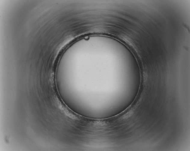 X0000103311029200809122047