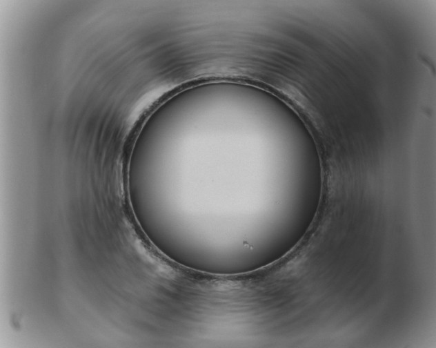 X0000103311030200809122047