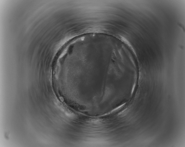 X0000103311035200809122047